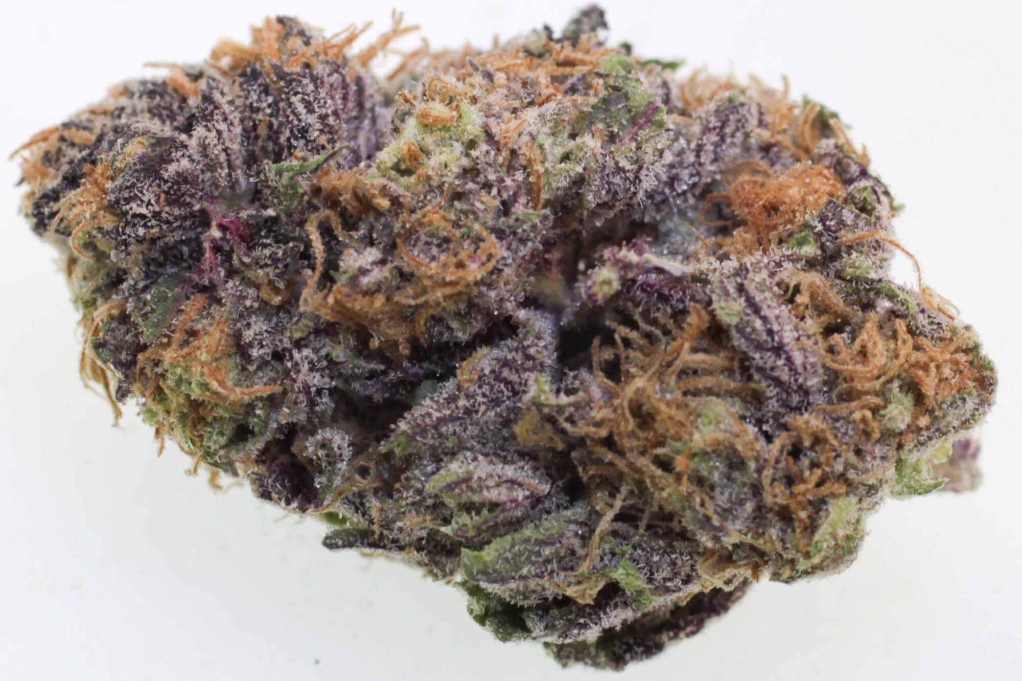 Strain of the Week Highlight Grape Ape Cannafo News Marijuana